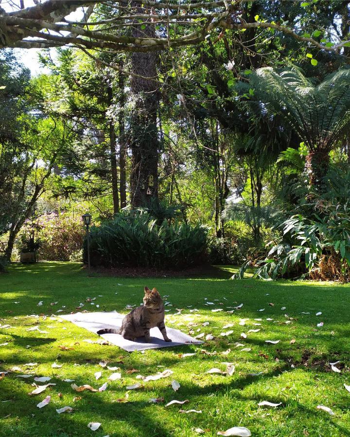 Casa Goldoni Gramado 4 Quartos المظهر الخارجي الصورة