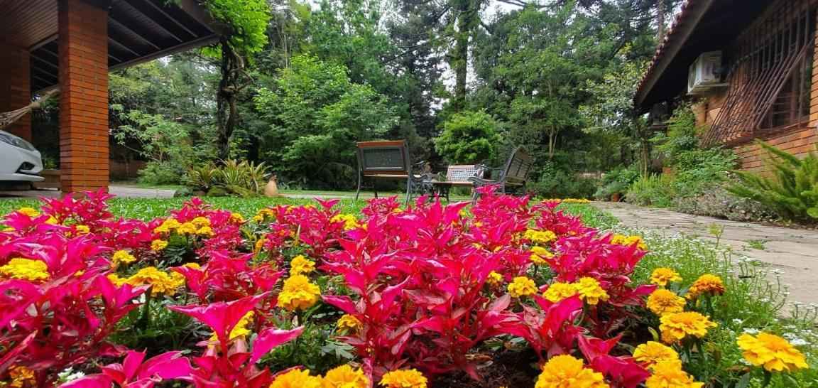 Casa Goldoni Gramado 4 Quartos المظهر الخارجي الصورة